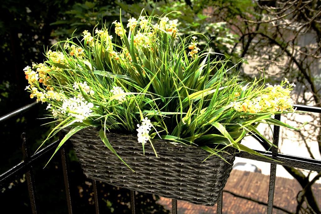 Flowers City Center Apartments Загреб Стая снимка